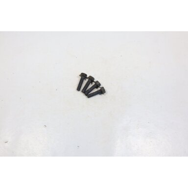 Genuine Screw Kit Cylinder M5X20 Partner 500 chainsaw 503200001