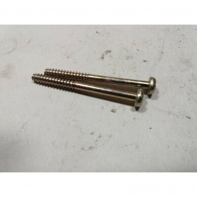 Genuine Carburetor Screw 5X55 Echo CS 3900 chainsaw 90025205055 1 Genuine Carburetor Screw 5X55 Echo CS 3900 chainsaw 90025205055 1