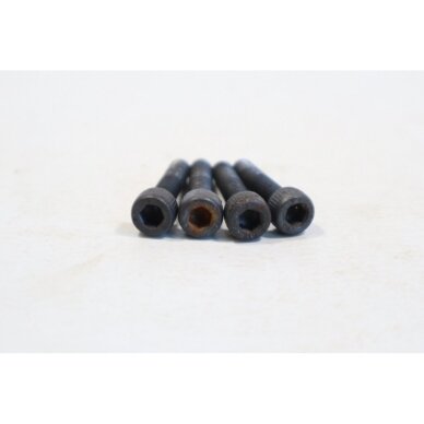 Genuine Cylinder Screw Kit M5x25 Partner B347 brushcutter 2