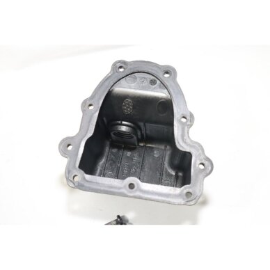 Genuine Engine Ryobi RLT430CES brushcutter 5131015982 10