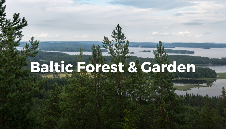 Forest_mobile